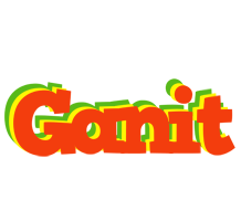 Ganit bbq logo