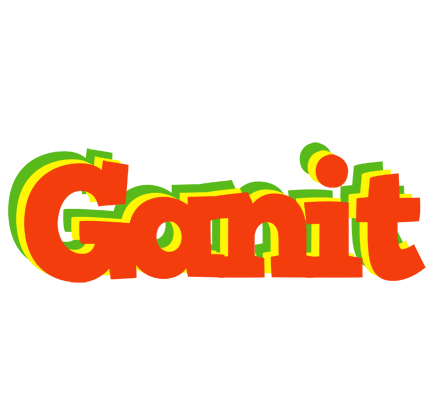 Ganit bbq logo