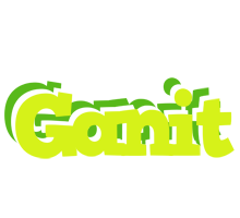 Ganit citrus logo