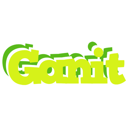 Ganit citrus logo