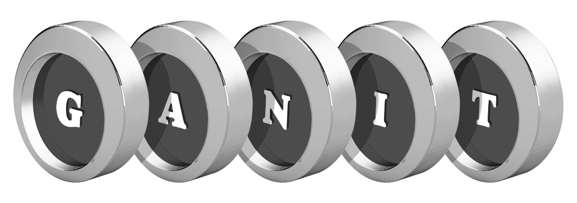 Ganit coins logo
