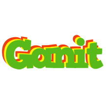 Ganit crocodile logo