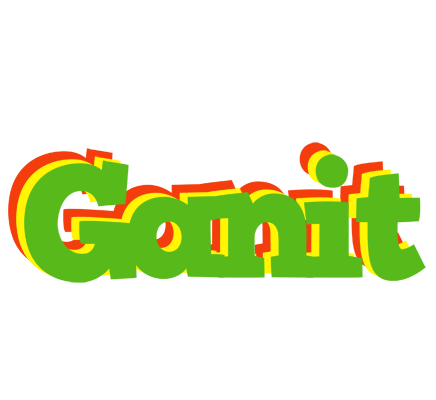Ganit crocodile logo