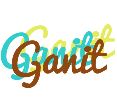 Ganit cupcake logo