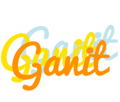 Ganit energy logo