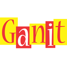 Ganit errors logo