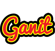 Ganit fireman logo