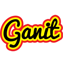 Ganit flaming logo