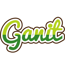 Ganit golfing logo