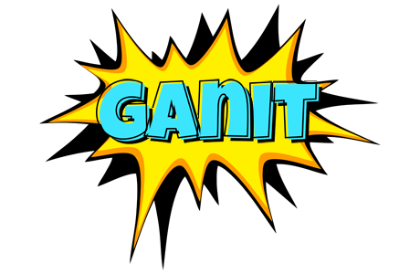 Ganit indycar logo