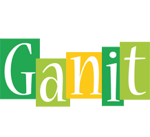 Ganit lemonade logo