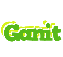 Ganit picnic logo