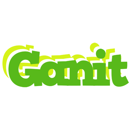 Ganit picnic logo