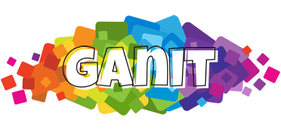 Ganit pixels logo