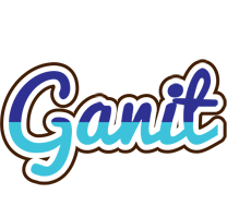 Ganit raining logo