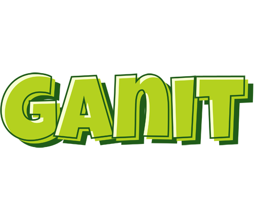 Ganit summer logo