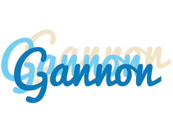 Gannon breeze logo
