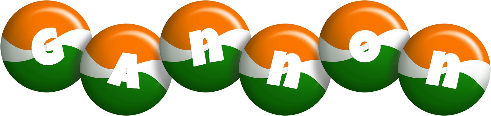 Gannon india logo