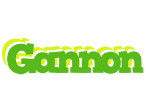 Gannon picnic logo