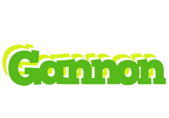 Gannon picnic logo