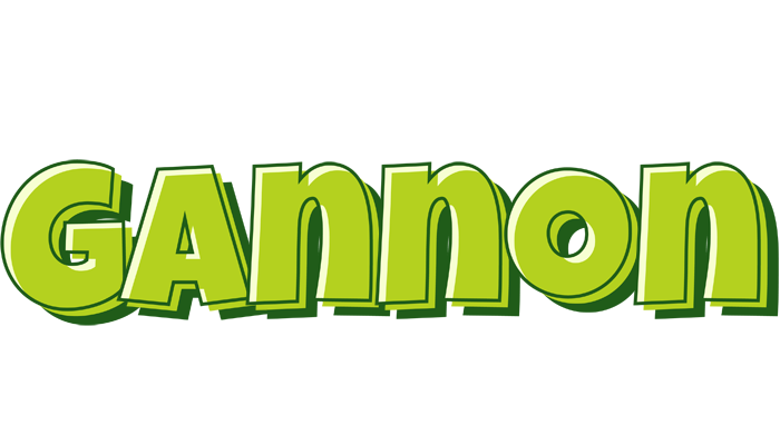 Gannon summer logo