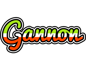 Gannon superfun logo