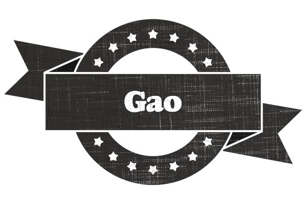 Gao grunge logo