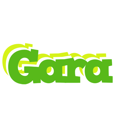 Gara picnic logo