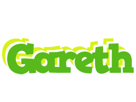 Gareth picnic logo