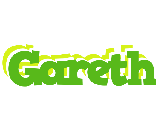 Gareth picnic logo