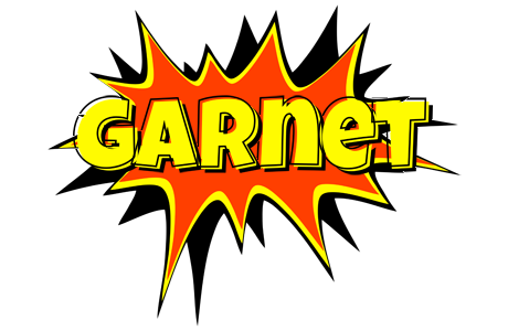 Garnet bazinga logo