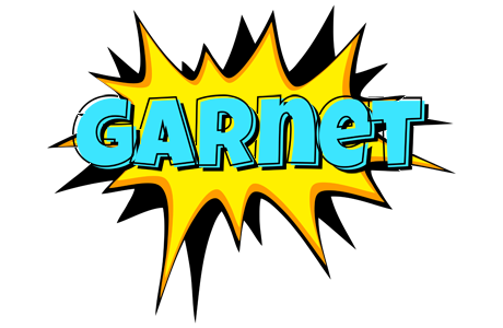 Garnet indycar logo