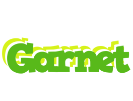 Garnet picnic logo