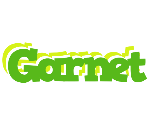 Garnet picnic logo