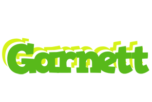 Garnett picnic logo