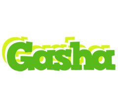 Gasha picnic logo