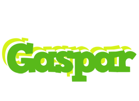 Gaspar picnic logo