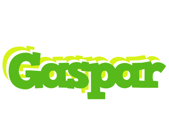 Gaspar picnic logo