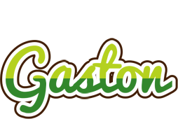 Gaston golfing logo