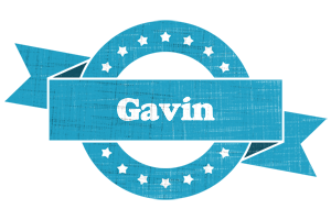 Gavin balance logo