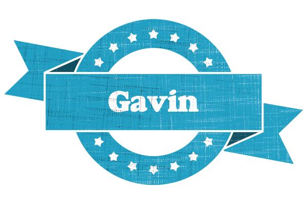 Gavin balance logo