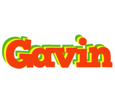 Gavin bbq logo