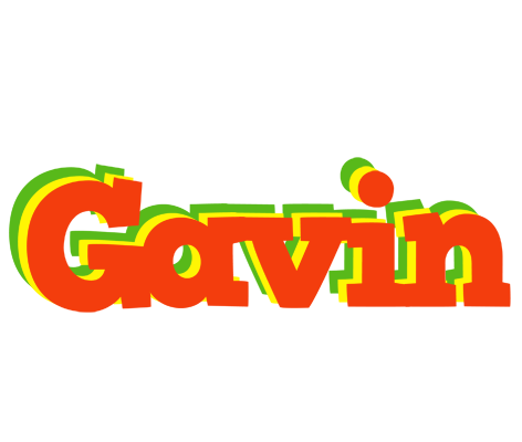 Gavin bbq logo
