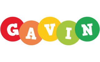 Gavin boogie logo