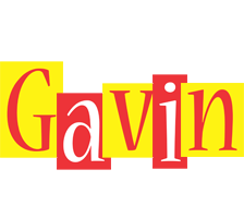 Gavin errors logo