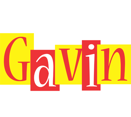 Gavin errors logo