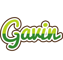 Gavin golfing logo