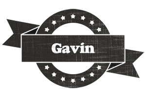 Gavin grunge logo