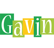 Gavin lemonade logo