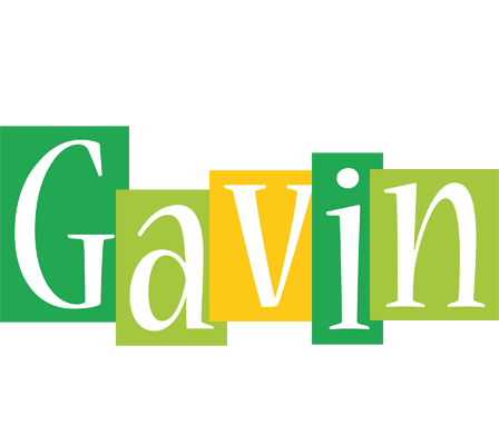 Gavin lemonade logo